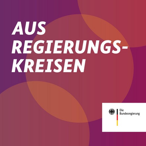 Cover Aus Regierungskreisen